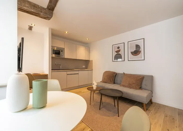 L'arsenal - Centre Historique * מולהאוס